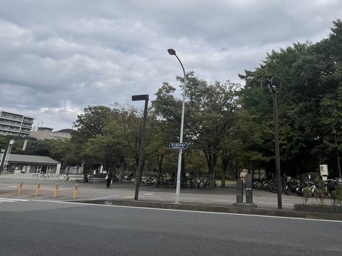 茅ヶ崎中央公園