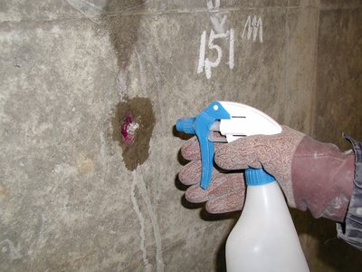 測定面にフェノールフタレイン溶液を噴霧する